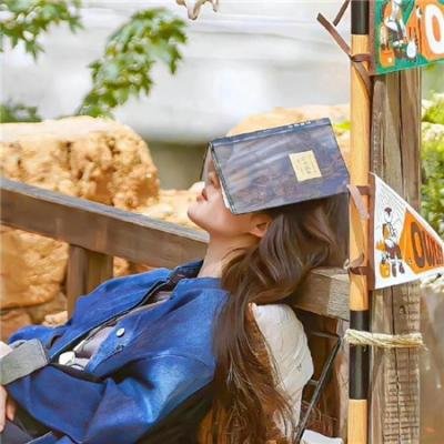 帐棚顶上的马戏团艺人